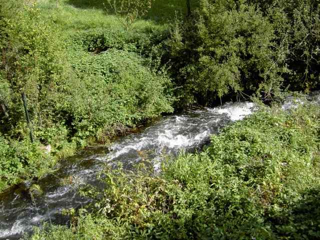 Wanderung an der Aufse: Die Aufse bei Doos (Bild 84006)